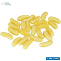 Dals DragéBanana — 1.5kg (3.3lb)