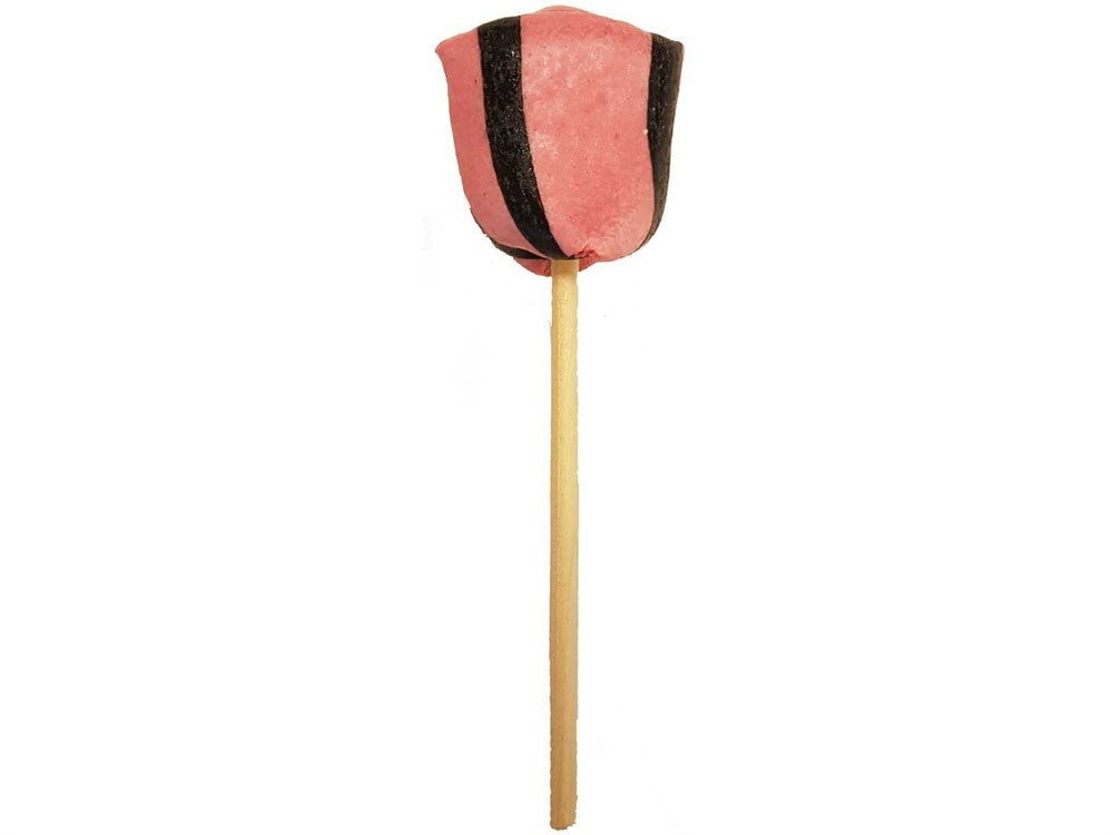 Bako Spiral Lollipop Raspberry/SALT 50g — 20 x 50g